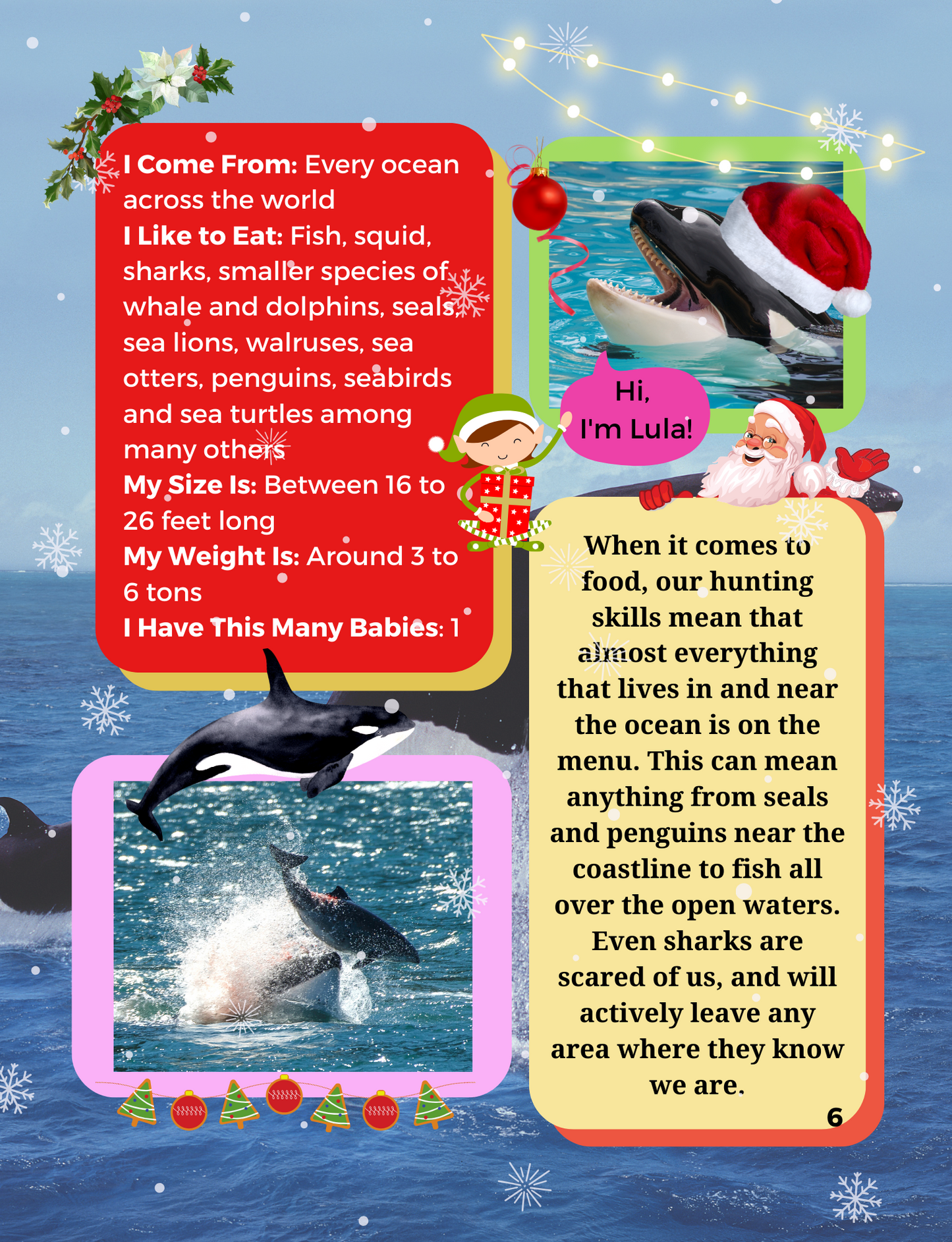 Our Bold Kingdom of Ocean Animals Holiday Special Edition